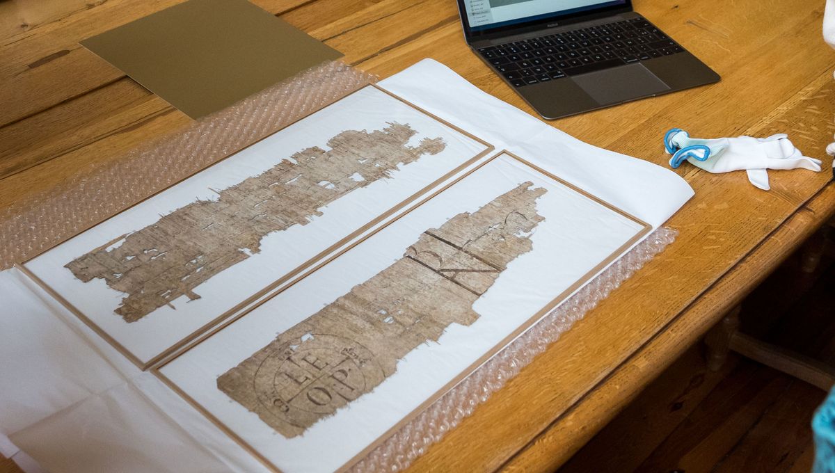 1200x680 papyrus le puy