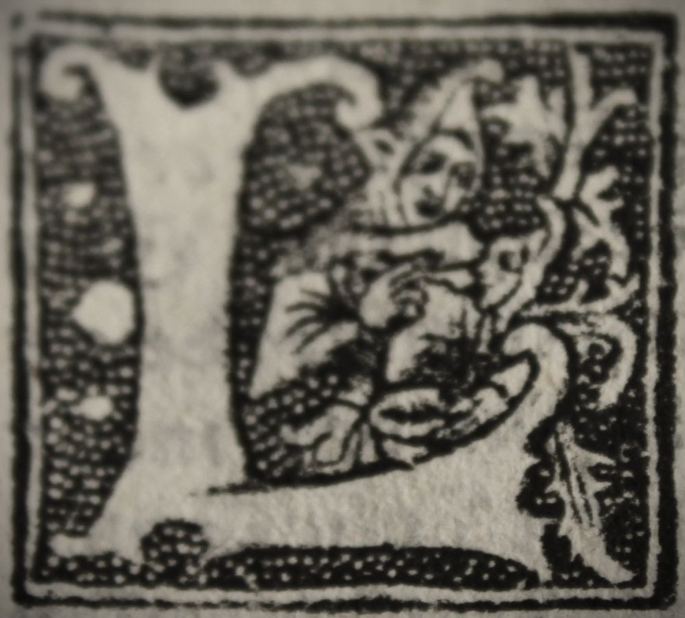 L3