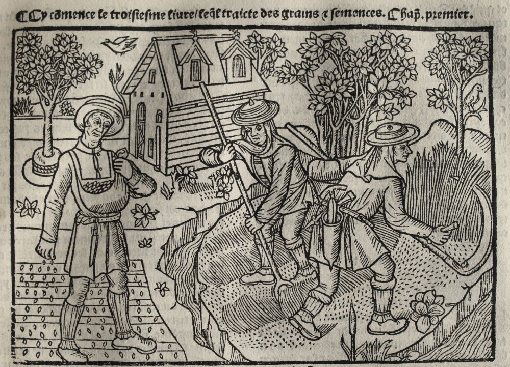cérérales