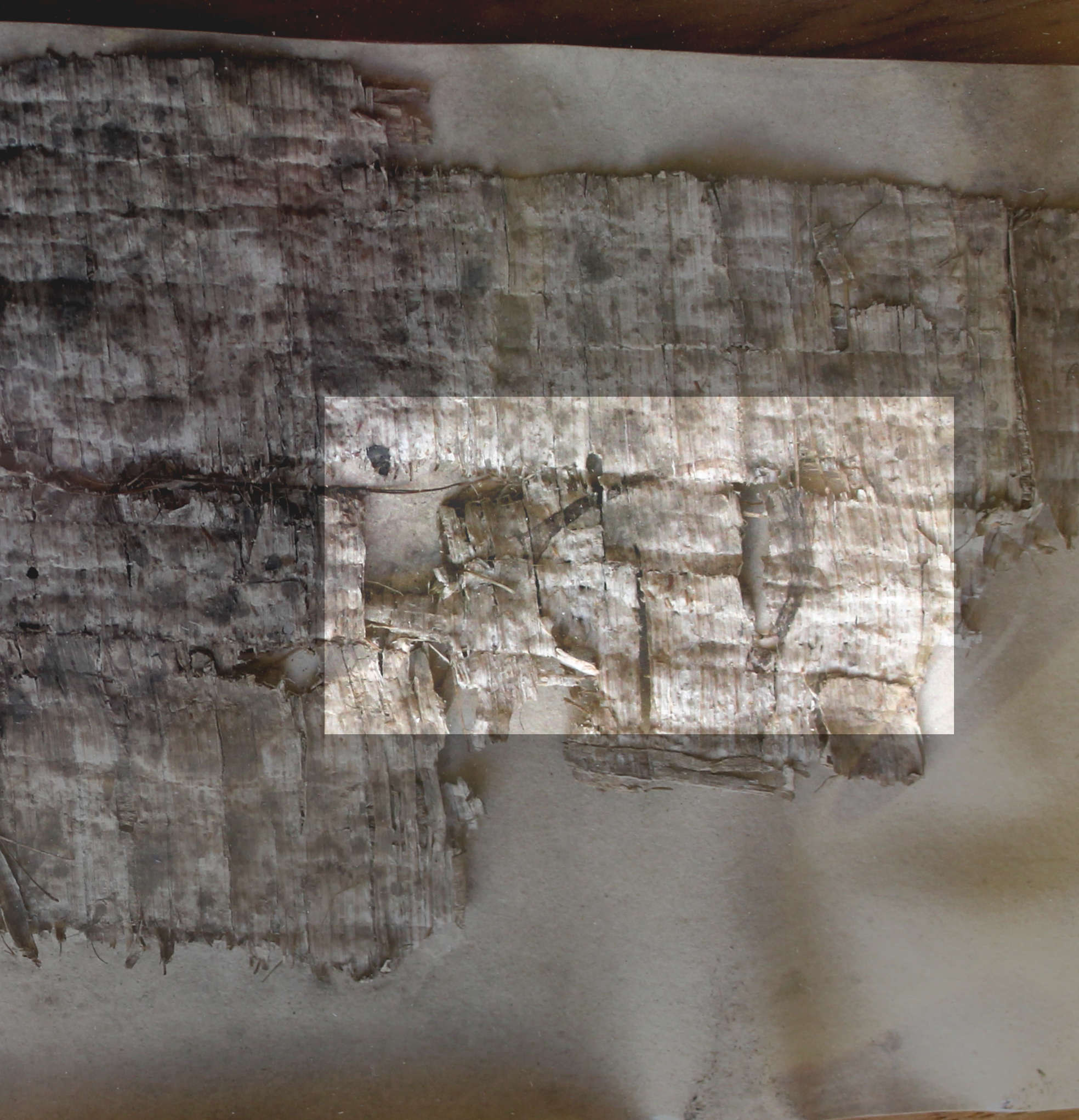 Ms117 papyrus comma