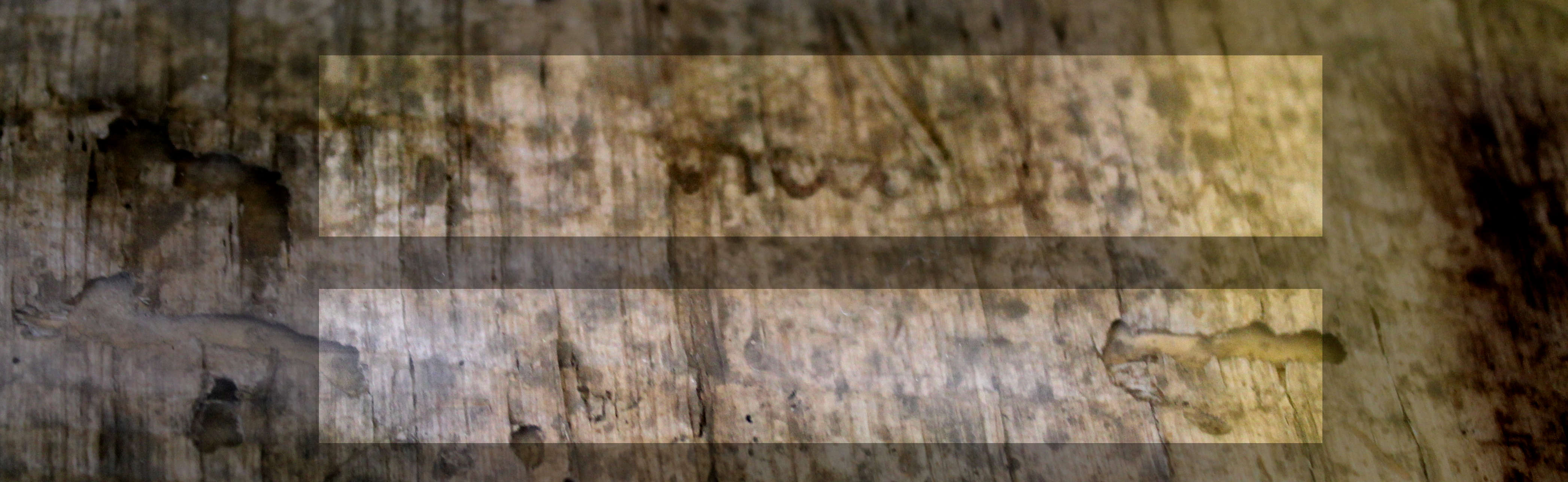 Ms117 papyrus effacement de lécrit Copie