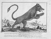 loup